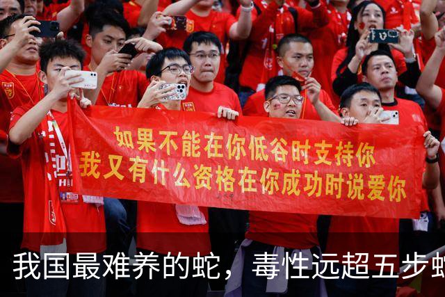 我国最难养的蛇，毒性远超五步蛇，被称“中国第一毒蛇”，至今没有解毒血清